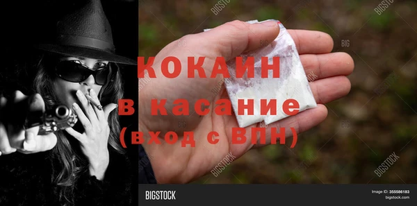 винт Абаза