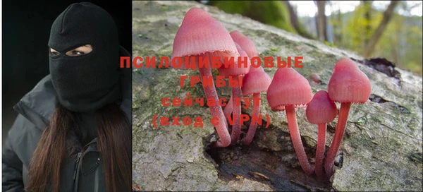 каннабис Абинск