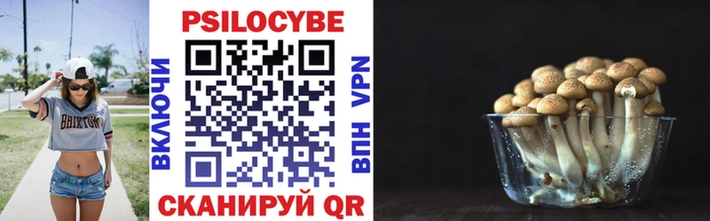 Псилоцибиновые грибы прущие грибы Чебаркуль