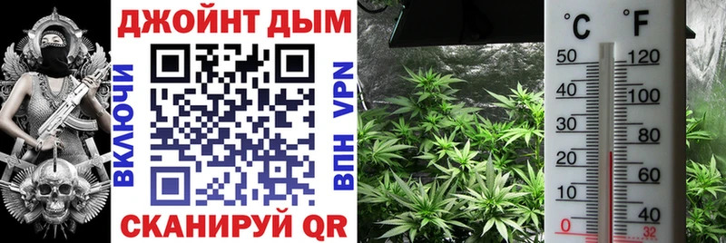 МАРИХУАНА Amnesia  купить закладку  Чебаркуль 